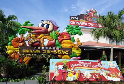 OKINAWA水果。在名護市,作為故事的主角,可以進行探險的設施體驗型繪本《熱帶王國物語》大受好評。