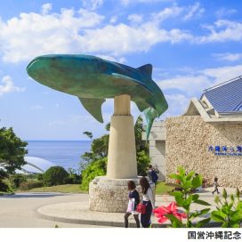 沖繩美裡海水族館