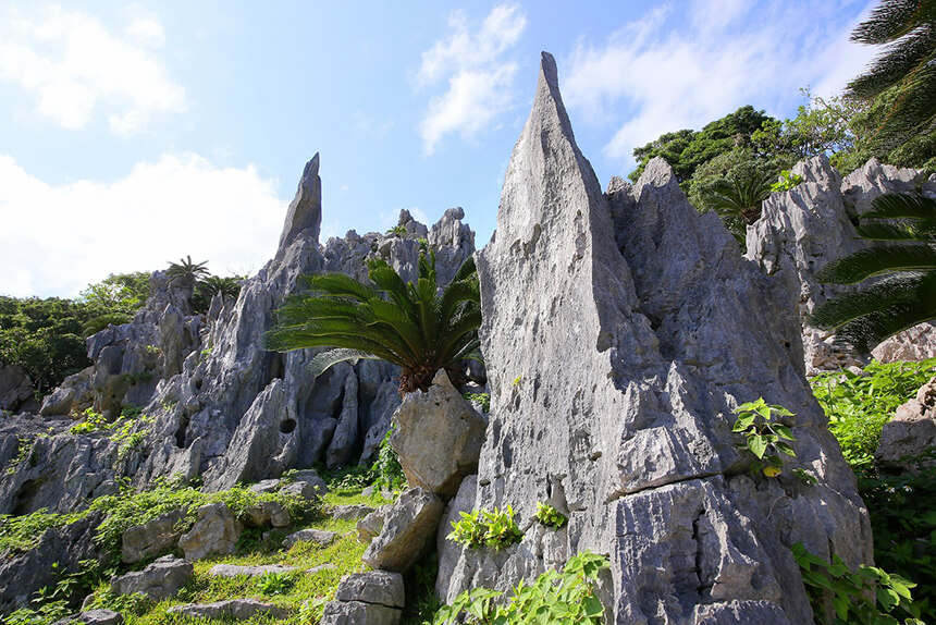 以尖銳的岩塔和石灰岩的台地(塔岩溶)等形狀奇形怪狀的岩石和巨石多的大石林山的構成為首,從地質學的觀點來解說由大小160個島嶼構成的沖繩的構成。