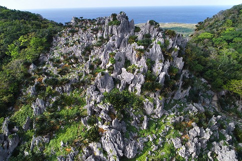 ASMUI Spiritual Hikes(舊)大石林山